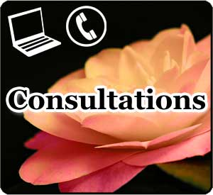 Consultations Consultations