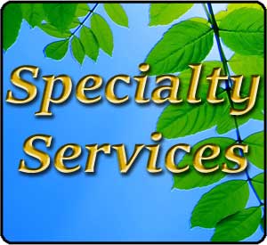 Specialty Services at Valley Fever Survivor Specialty Services at Valley Fever Survivor