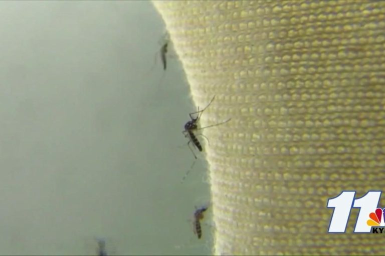 An Increased Risk for West Nile Virus and Valley Fever in Arizona